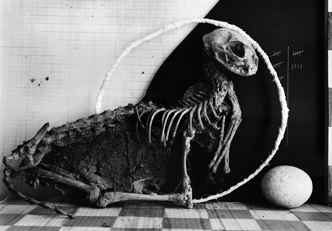 HANS GEDDA — DEAD PLATES HANS GEDDA — DEAD PLATES