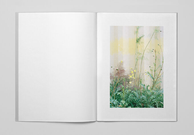 Ola Rindal — Tokyo Flowers www_0017_Lager 16