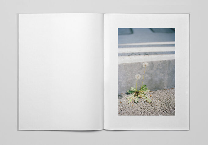 Ola Rindal — Tokyo Flowers www_0024_Lager 23